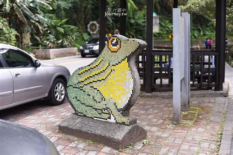 看到青蛙|南投、魚池｜日月潭水蛙頭步道/九蛙疊像・要看到九蛙全貌沒那 